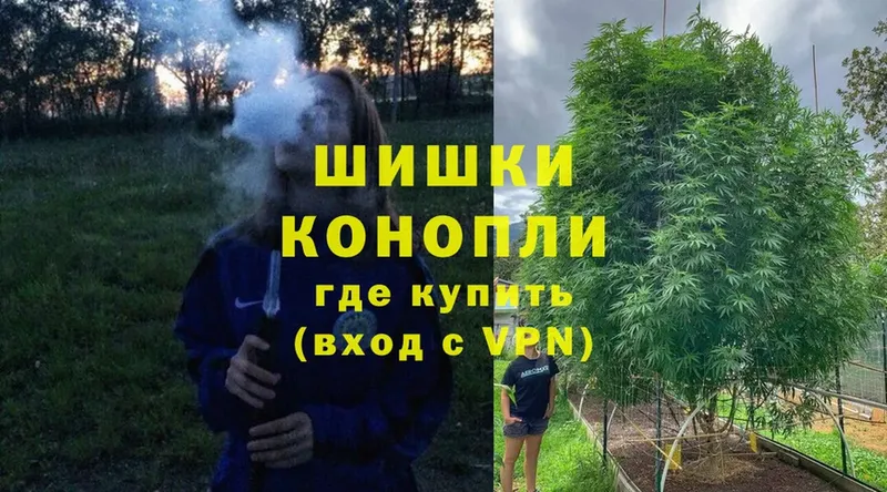 Бошки марихуана THC 21%  мега рабочий сайт  Нефтекамск 